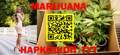 apvp Кингисепп
