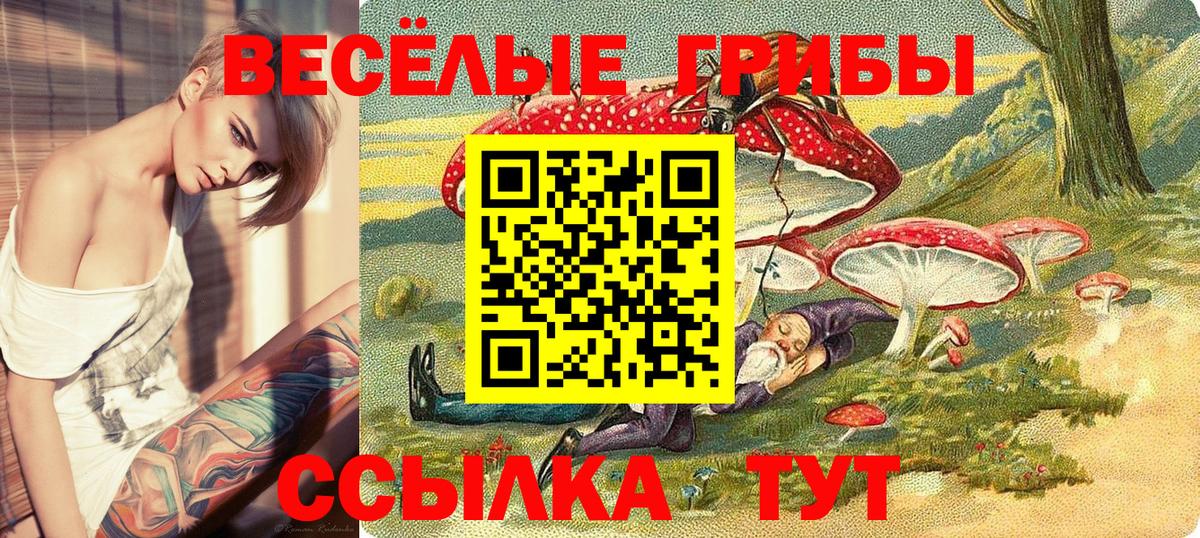 Псилоцибиновые грибы GOLDEN TEACHER  хочу   Урай  Вход с VPN 
