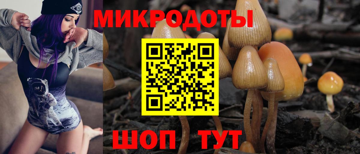 Галлюциногенные грибы прущие грибы Урай
